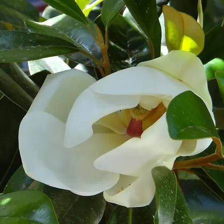 Family アパート ジャルディーニ・ナクソス